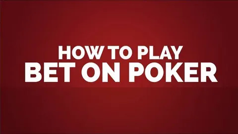 33 bet app 