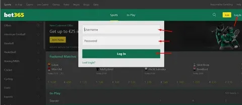 apostas 8855bet 