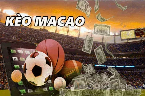 apostas mega sena 
