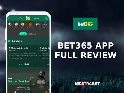 betapp bet 