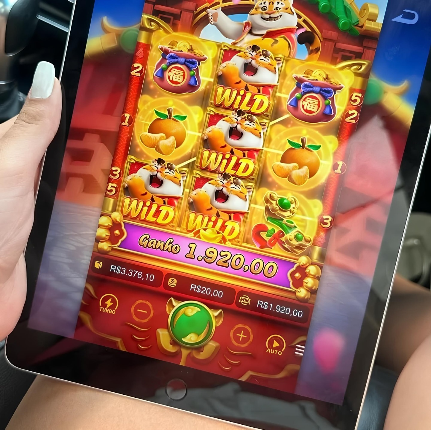 jogo do tigrinho 7t pg slots 