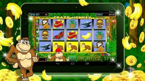 novibet dates 