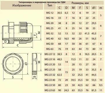 setor central 
